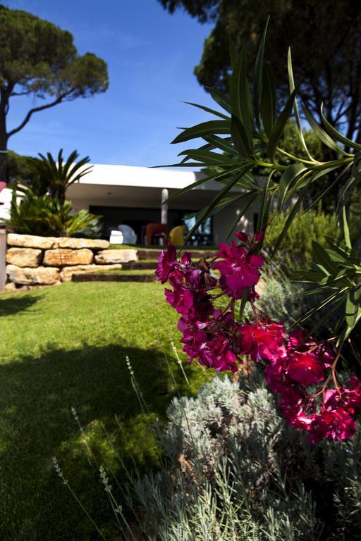 Villa Californie Sainte-Maxime Exteriér fotografie